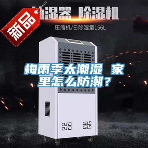 梅雨季太潮濕 家里怎么防潮？
