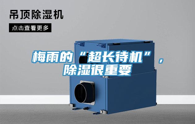 梅雨的“超長(zhǎng)待機(jī)”，除濕很重要