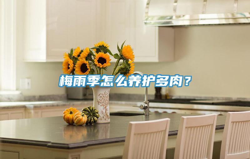 梅雨季怎么養(yǎng)護多肉？