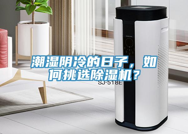 潮濕陰冷的日子，如何挑選除濕機？