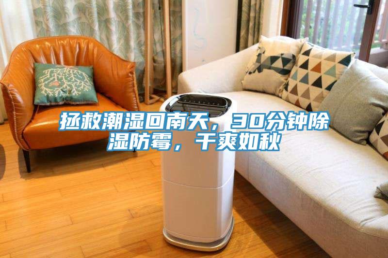 拯救潮濕回南天，30分鐘除濕防霉，干爽如秋