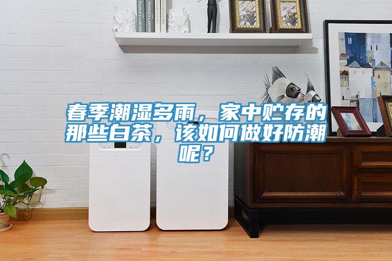 春季潮濕多雨，家中貯存的那些白茶，該如何做好防潮呢？