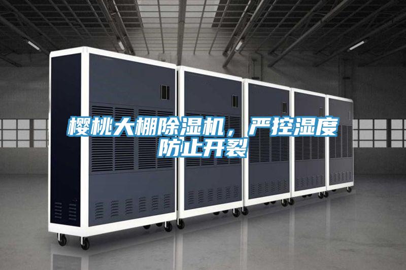 櫻桃大棚除濕機(jī)，嚴(yán)控濕度防止開裂