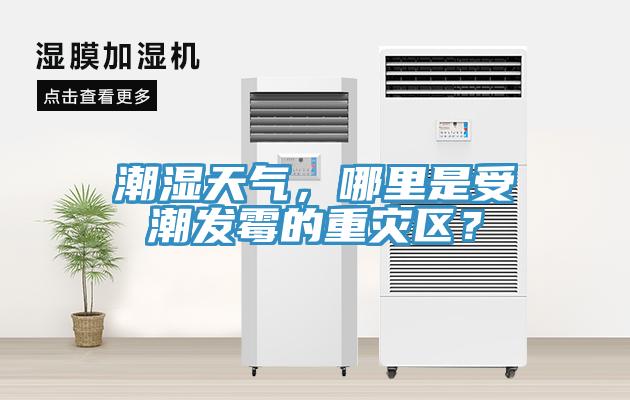 潮濕天氣，哪里是受潮發(fā)霉的重災(zāi)區(qū)？