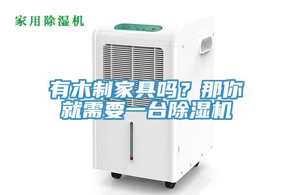 有木制家具嗎？那你就需要一臺(tái)除濕機(jī)