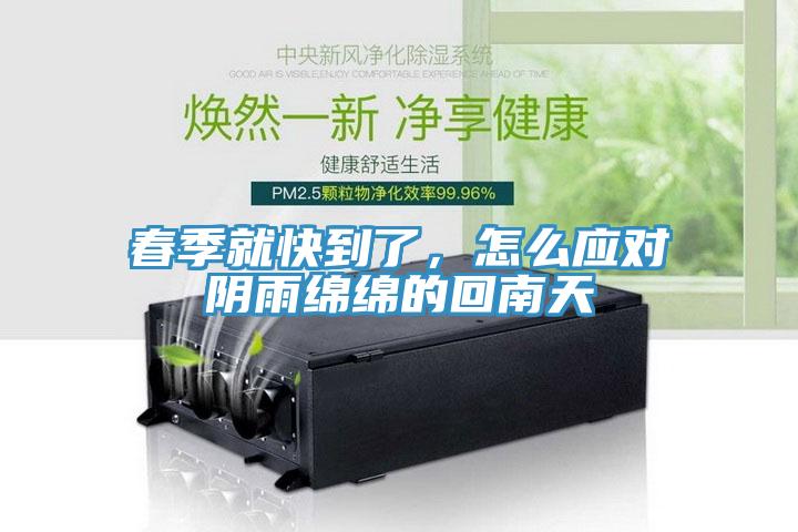 春季就快到了，怎么應(yīng)對陰雨綿綿的回南天