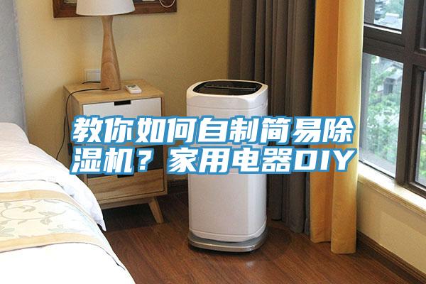 教你如何自制簡易除濕機(jī)？家用電器DIY