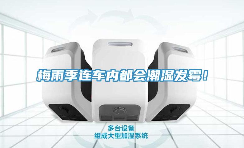 梅雨季連車(chē)內(nèi)都會(huì)潮濕發(fā)霉！