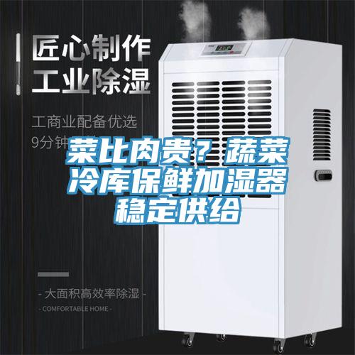 菜比肉貴？蔬菜冷庫(kù)保鮮加濕器穩(wěn)定供給