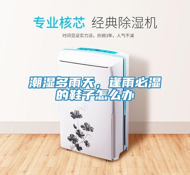 潮濕多雨天，逢雨必濕的鞋子怎么辦