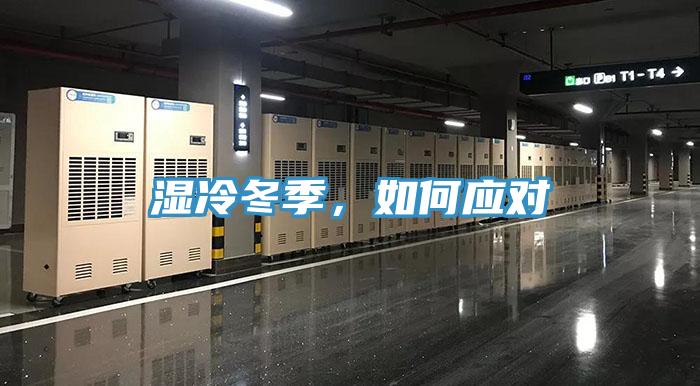 濕冷冬季，如何應(yīng)對(duì)