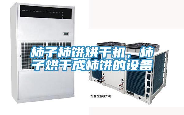 柿子柿餅烘干機(jī)，柿子烘干成柿餅的設(shè)備