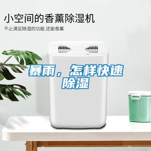 暴雨，怎樣快速除濕