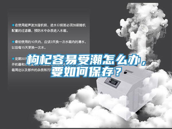 枸杞容易受潮怎么辦，要如何保存？