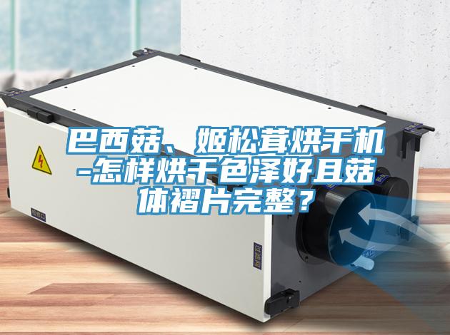 巴西菇、姬松茸烘干機(jī)-怎樣烘干色澤好且菇體褶片完整？