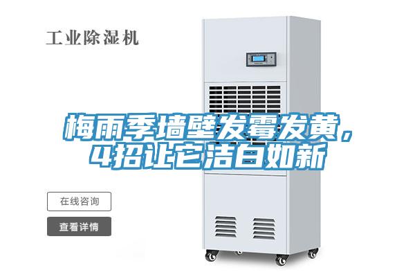 梅雨季墻壁發(fā)霉發(fā)黃，4招讓它潔白如新