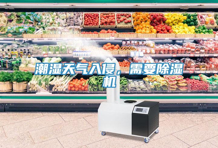 潮濕天氣入侵，需要除濕機