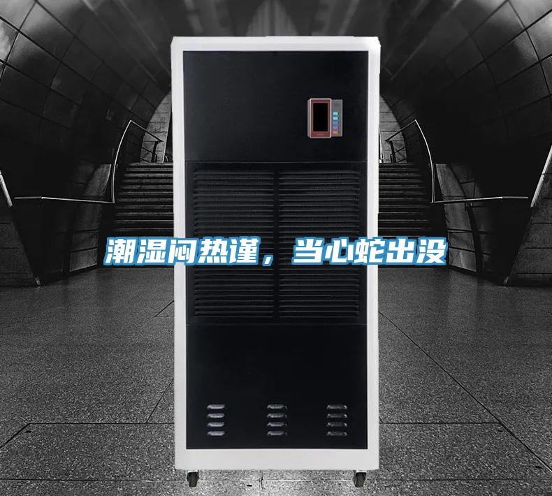 潮濕悶熱謹(jǐn)，當(dāng)心蛇出沒(méi)