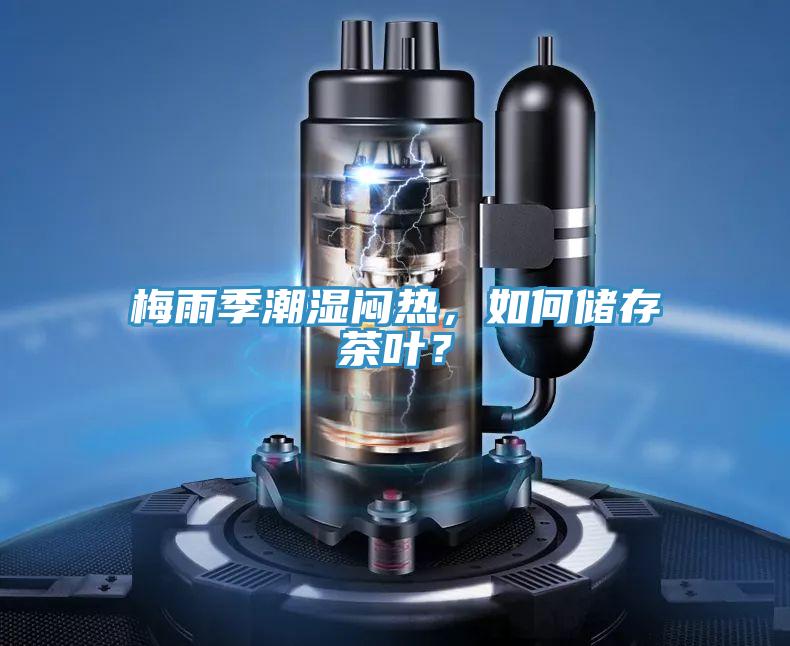 梅雨季潮濕悶熱，如何儲(chǔ)存茶葉？