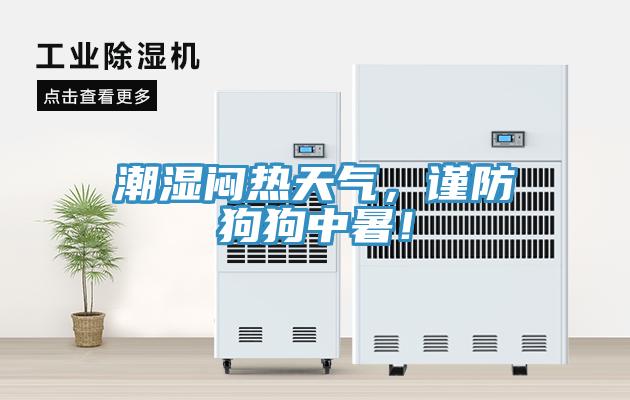 潮濕悶熱天氣，謹(jǐn)防狗狗中暑！