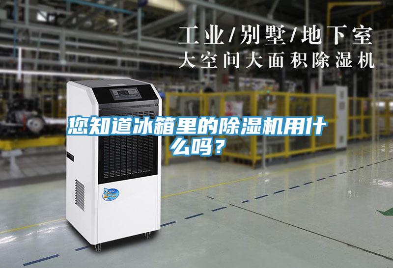 您知道冰箱里的除濕機用什么嗎？