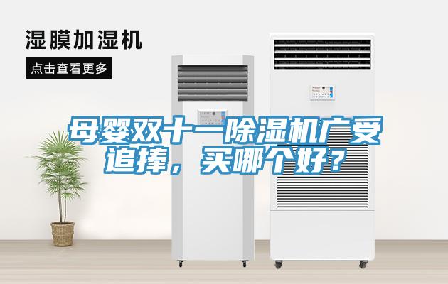 母嬰雙十一除濕機廣受追捧，買哪個好？