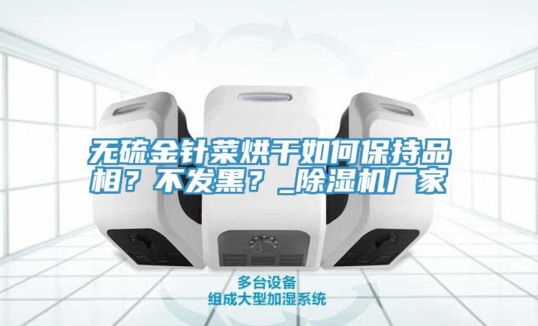 無硫金針菜烘干如何保持品相？不發(fā)黑？_除濕機廠家