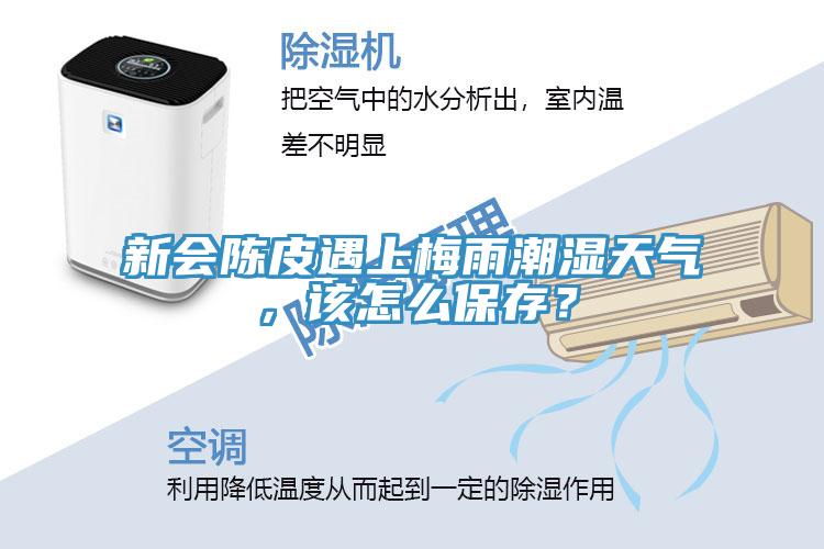 新會(huì)陳皮遇上梅雨潮濕天氣，該怎么保存？