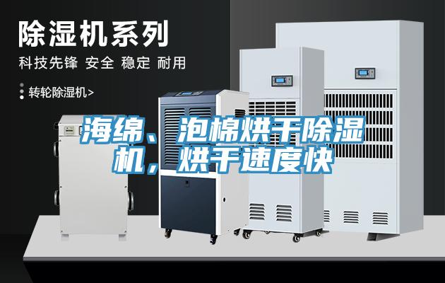 海綿、泡棉烘干除濕機，烘干速度快