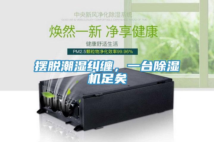 擺脫潮濕糾纏，一臺除濕機足矣