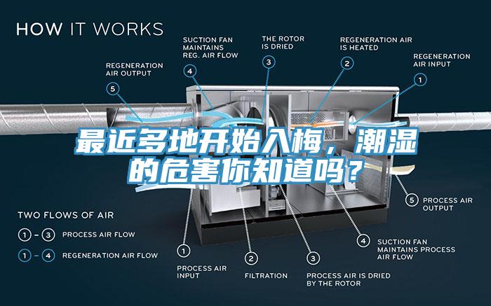 最近多地開始入梅，潮濕的危害你知道嗎？