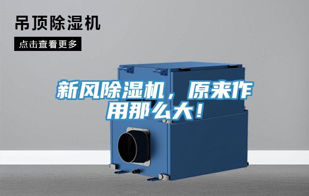 新風(fēng)除濕機(jī)，原來作用那么大！