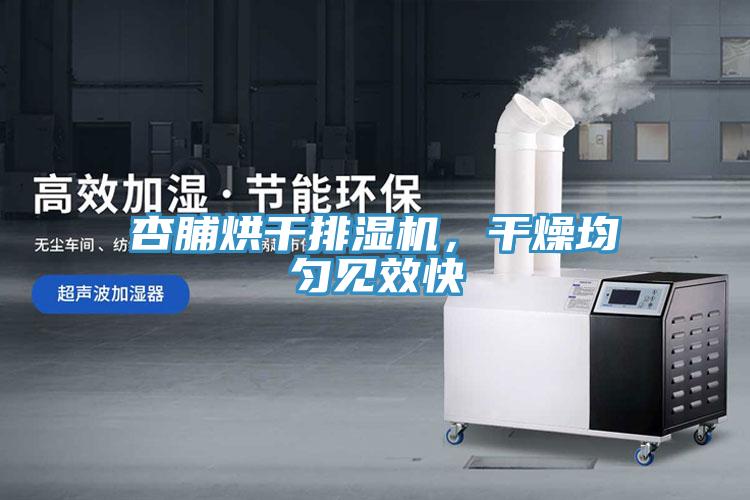 杏脯烘干排濕機，干燥均勻見效快