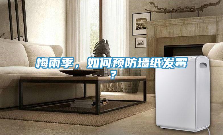 梅雨季，如何預(yù)防墻紙發(fā)霉？