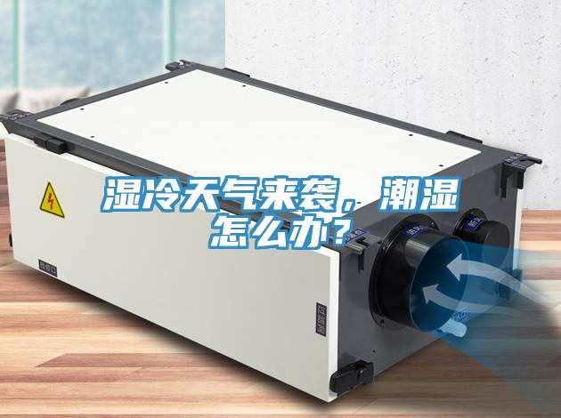 濕冷天氣來(lái)襲，潮濕怎么辦？