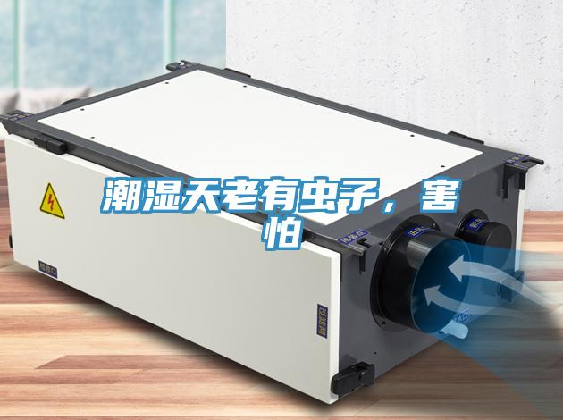 潮濕天老有蟲子，害怕