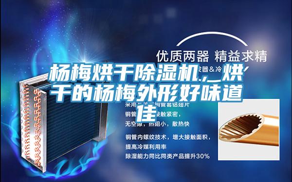 楊梅烘干除濕機(jī)，烘干的楊梅外形好味道佳