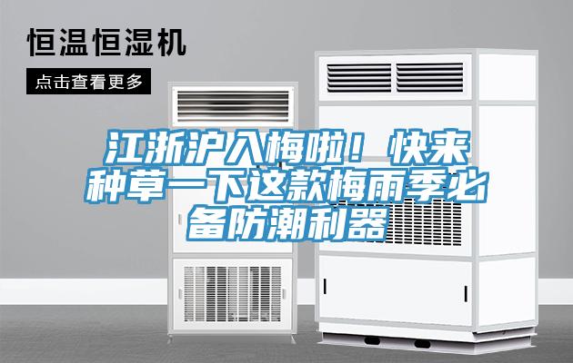 江浙滬入梅啦！快來種草一下這款梅雨季必備防潮利器