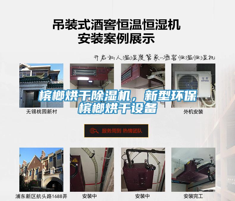 檳榔烘干除濕機(jī)，新型環(huán)保檳榔烘干設(shè)備