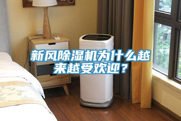 新風(fēng)除濕機(jī)為什么越來(lái)越受歡迎？