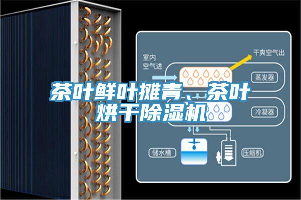 茶葉鮮葉攤青、茶葉烘干除濕機(jī)