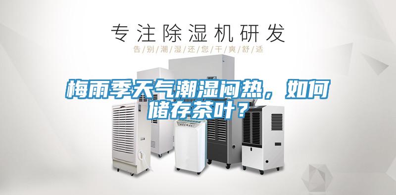 梅雨季天氣潮濕悶熱，如何儲存茶葉？