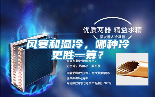 風(fēng)寒和濕冷，哪種冷更勝一籌？