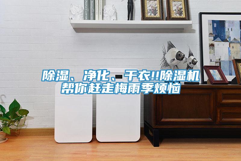 除濕、凈化、干衣!!除濕機幫你趕走梅雨季煩惱