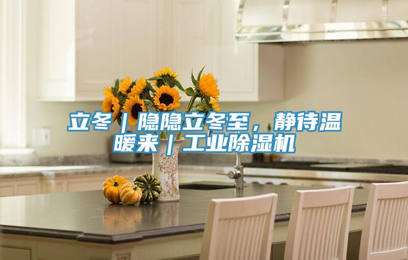 立冬｜隱隱立冬至，靜待溫暖來｜工業(yè)除濕機(jī)
