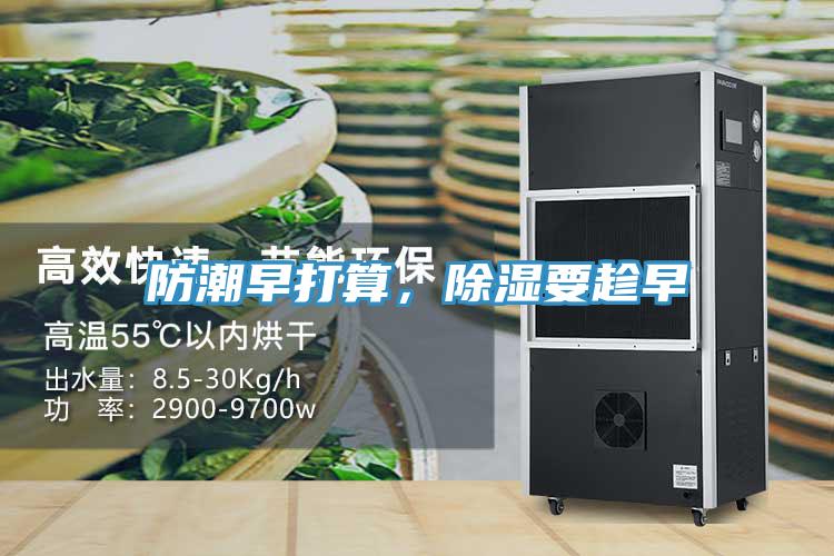 防潮早打算，除濕要趁早