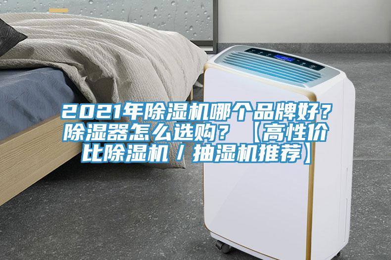 2021年除濕機哪個品牌好？除濕器怎么選購？【高性價比除濕機／抽濕機推薦】