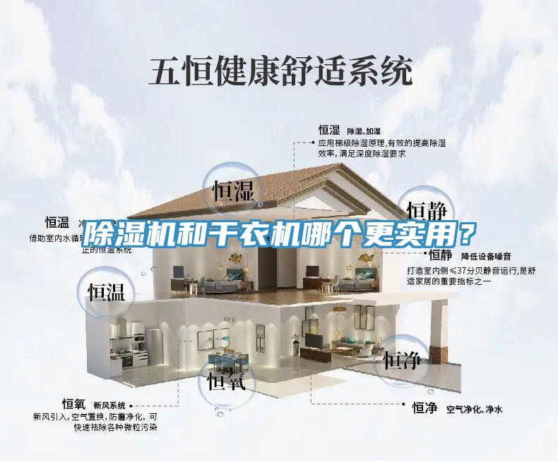除濕機和干衣機哪個更實用？