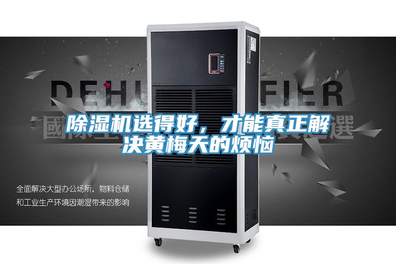 除濕機選得好，才能真正解決黃梅天的煩惱