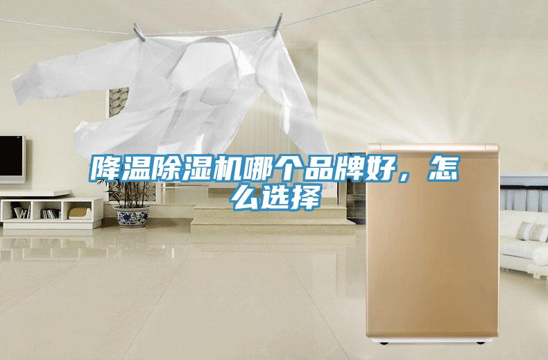 降溫除濕機哪個品牌好，怎么選擇
